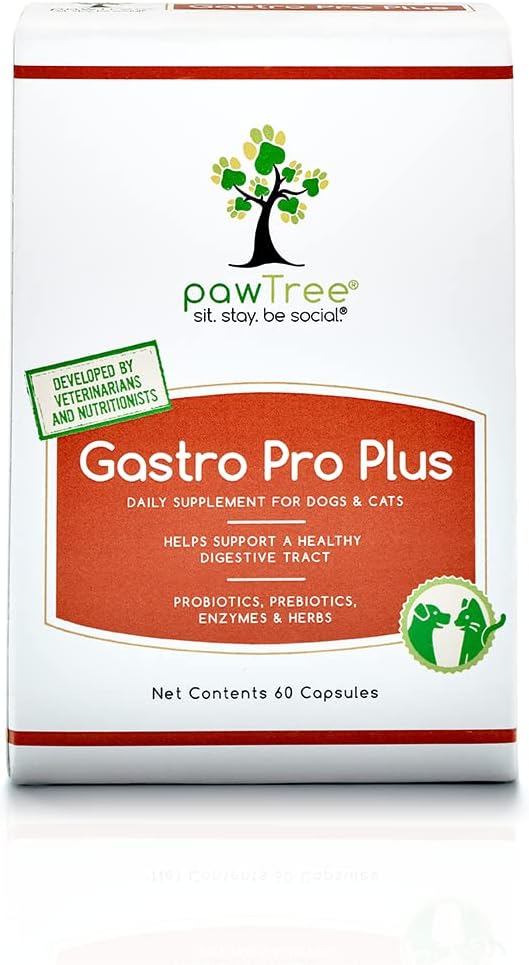 pawTree Gastro Pro Plus- Probiotics, Prebiotics & Digestive Enzymes Supplement for Dogs & Cats- Promotes Stomach Relief, Helps with Upset Gut, Constipation, Bad Gas & Diarrhea- Pet Health Essentials