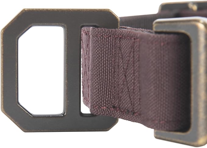 Carhartt Nylon Duck Dog Collar, Fully Adjustable Durable 2-Ply Cordura Nylon Canvas Collars for Dogs, Deep Wine, Medium