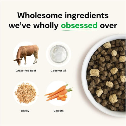 Open Farm RawMix Ancient Grains Front Range Recipe for Dogs, includes Kibble, Bone Broth, and Freeze Dried Raw, Inspired by The Wild, Humanely Raised Protein and Non-GMO Fruits and Veggies, 20 lb