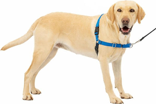 PetSafe Easy Walk Dog Harness - No Pull Dog Harness - Large, Royal Blue