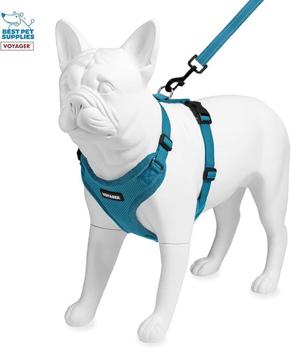 Voyager Step-in Lock Dog Harness w Reflective Dog Leash Combo Set with Neoprene Handle 5ft - Supports Small, Medium and Large Breed Puppies/Cats by Best Pet Supplies - Turquoise, L