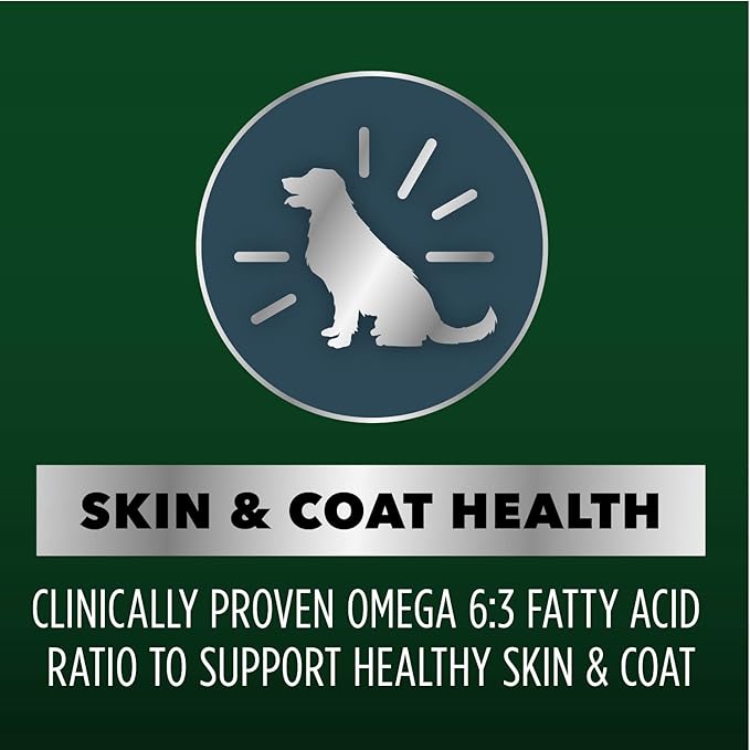 IAMS Advanced Health Skin & Coat Adult Dry Dog Food Chicken and Salmon Recipe, 36 lb. Bag
