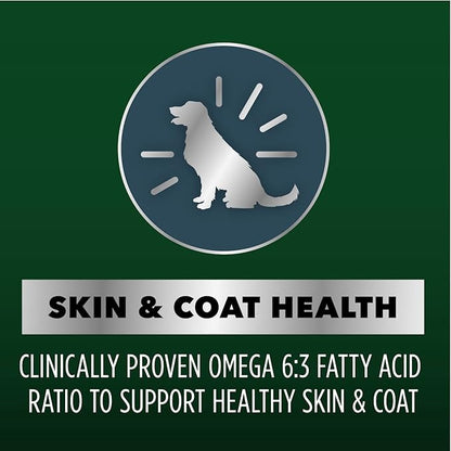IAMS Advanced Health Skin & Coat Adult Dry Dog Food Chicken and Salmon Recipe, 36 lb. Bag