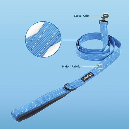 Voyager Reflective Dog Leash with Neoprene Handle, 5ft Long, Supports Small, Medium, and Large Breed Puppies, Cute and Heavy Duty for Walking, Running, and Training - Baby Blue (Leash), S