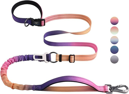 Roses&Poetry Hands Free Dog Leash Heavy Duty,No Pull Bungee Dog Running Waist Leash for Walking Training with Car Seatbelt 4-6FT