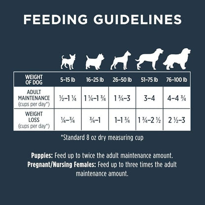 Instinct Raw Boost Whole Grain Dry Dog Food, Natural Real Lamb & Oatmeal Recipe Kibble with Omegas + Freeze Dried Raw Dog Food, 20 lb. Bag