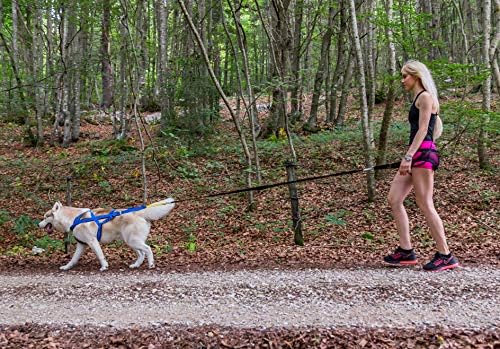 Neewa Canicross & Skijoring Belt to Run or Walk with Your Dog with Dog Running Leash Hands Free 2 Dogs or One, Dog Walking Belt for Multiple Dogs (One-Size-Fits-All, Black)