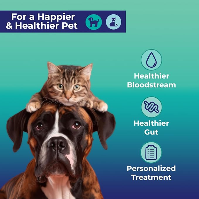 Leaky Gut At-Home Test Kit for Dogs and Cats - Identify Causes of Allergies, Itching, Behavior, and Skin Issues - Pet Essential for Digestive Health Solution