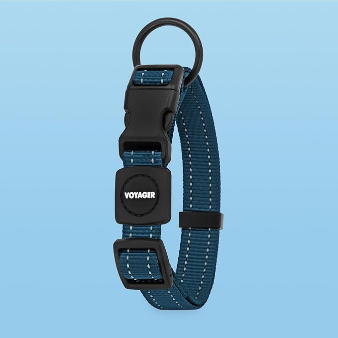 Voyager Reflective Dog Leash Collar Set with Neoprene Handle Supports Small, Medium, and Large Breed Puppies, Cute and Heavy Duty for Walking, Running, and Training - Blue, L