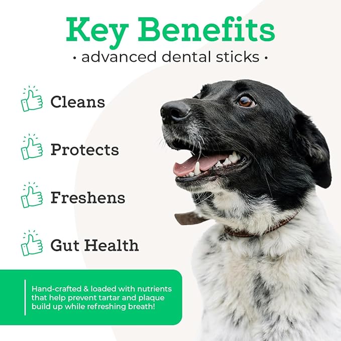 Dr. Joseph's Vetpro Complete Advanced Dental Sticks with Prebiotics, 15 Sticks, Cleans Teeth, Freshens Bad Breath, and Supports Gut Health, Target Tartar and Plaque Build Up, Veterinarian Formulated