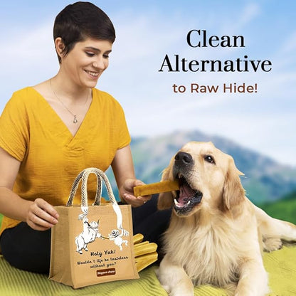 Dogsee Himalayan Yak Milk Dog Chews with Turmeric Value Pack 2lb (Large - 8 Chews) | Anti-inflammatory | Great for Oral Hygiene | Odorless Dental Dog Treats