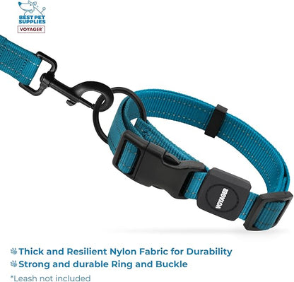 Best Pet Supplies Reflective Dog Collar with Adjustable Length, Heavy-Duty Buckle, and Strong Leash D-Ring, Training, Walking, Jogging Accessory for Small, Medium, and Large Breeds - Turquoise, L
