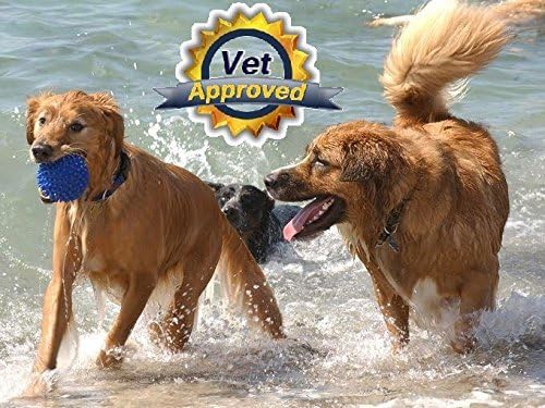 Treats Arthritis, Inflammation, Joint Pain, & Decreased Flexibility - 90 Dog Chewable Tablets