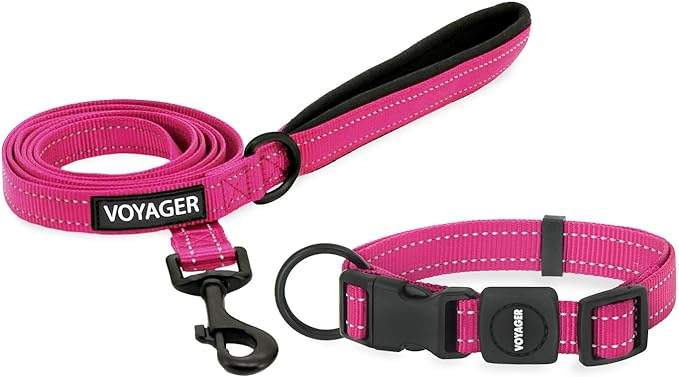 Voyager Reflective Dog Leash Collar Set with Neoprene Handle Supports Small, Medium, and Large Breed Puppies, Cute and Heavy Duty for Walking, Running, and Training - Fuchsia, S