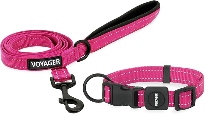 Voyager Reflective Dog Leash Collar Set with Neoprene Handle Supports Small, Medium, and Large Breed Puppies, Cute and Heavy Duty for Walking, Running, and Training - Fuchsia, M