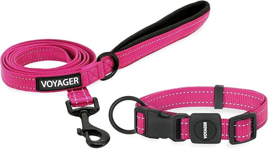 Voyager Reflective Dog Leash Collar Set with Neoprene Handle Supports Small, Medium, and Large Breed Puppies, Cute and Heavy Duty for Walking, Running, and Training - Fuchsia, M