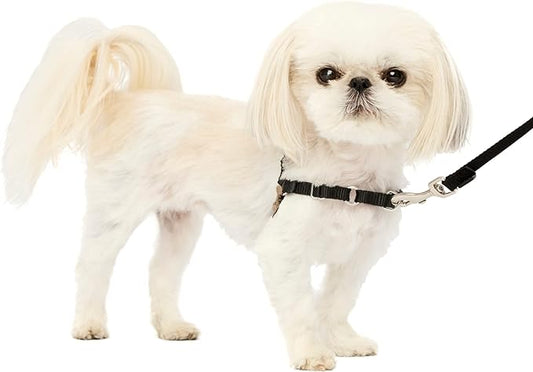PetSafe Easy Walk Dog Harness - No Pull Dog Harness - Petite, Black