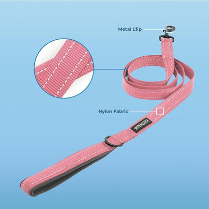 Best Pet Supplies Voyager Reflective Dog Leash with Neoprene Handle, 5ft Long, Supports Small, Medium, and Large Breed Puppies, Cute and Heavy Duty for Walking, Running, and Training - Pink,3/4" x 5ft