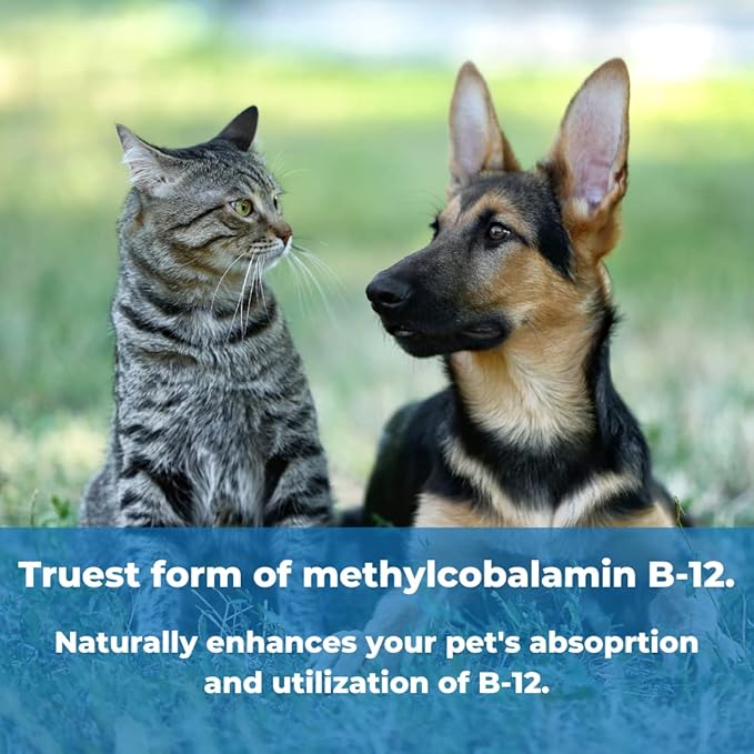 Pet Factor B-12 | Vitamin B-12 in Methylcobalamin Form | Popular in Treatment of EPI in Dogs 180 Capsules