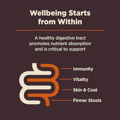 Wellness CORE Digestive Health Dry Dog Food with Wholesome Grains, Highly Digestible, For Dogs with Sensitive Stomachs, Made in USA with Real Chicken (Adult, 24-Pound Bag)