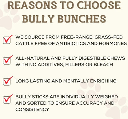 Bully Bunches Premium 12 Inch Standard Odor-Free Bully Sticks for Small & Medium Dogs - Long Lasting Chew Bones - All Natural & Single Ingredient, 100% Beef Dog Treat, Rawhide Free (20 Pk)