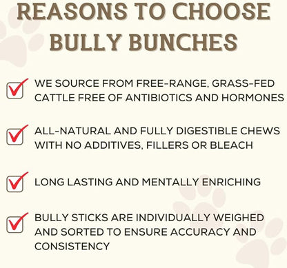 Bully Bunches Premium 6 Inch Standard Odor-Free Bully Sticks for Small to Medium Dogs & Puppies - Long Lasting Chews for Oral Care - All Natural, 100% Beef Dog Treats, Rawhide Free (20 Pk)