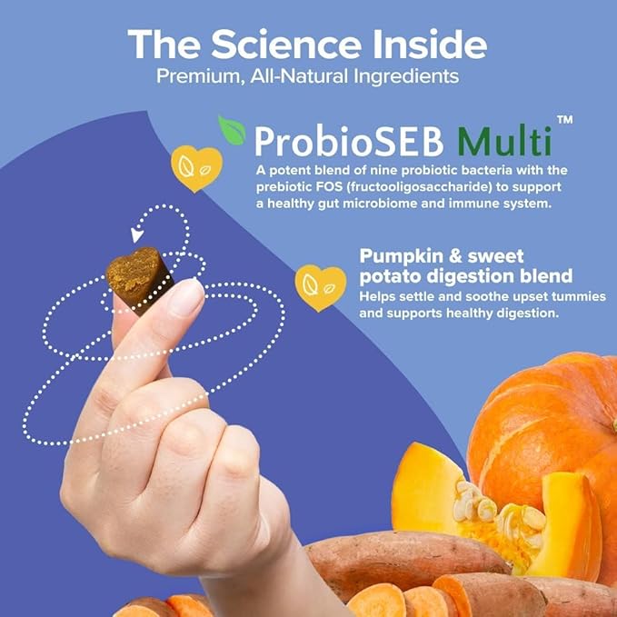 Belly Boost Probiotic Soft Chews for Dogs - Vet Formulated for Gut Health, Digestion, Allergy Relief, & Immune System Support - Smoked Pumpkin & Sweet Potato Flavor - All Breeds - 2 Pack