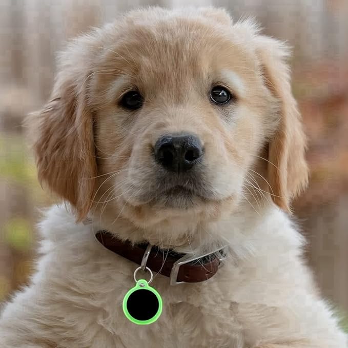 6 Pack Two Colors Circle Silicone Dog Tag Silencer Green Glow in The Dark Round Soundless Pet Tag Sleeve Blue Glow in The Dark Personalize Pet Name Tags Protector Lightweight Pet Tag Cover