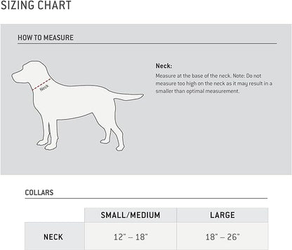 Carhartt Fully Adjustable Nylon Webbing Collars for Dogs, Reflective Stitching for Visibility, Coral Glow, Medium