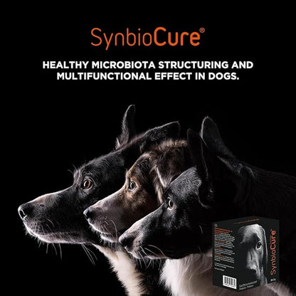 I Probiotics & Prebiotics for Dogs I Powder Dog Supplement I Digestive Health Support I 200 Billion Bacteria Per Sachet I 30 Sachets*2 g