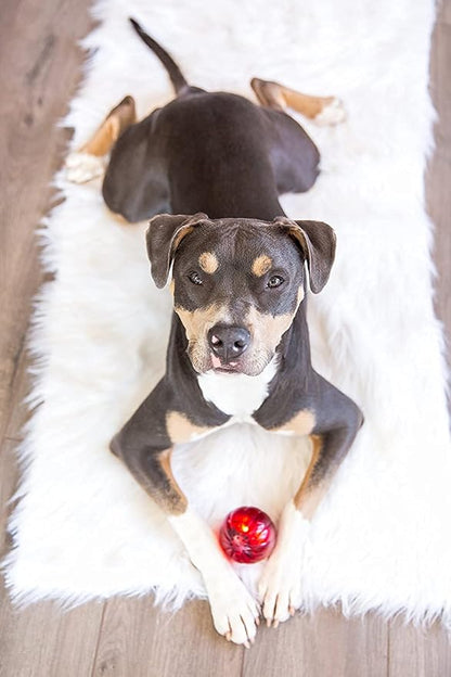 Pet Qwerks Blinky Babble Ball - Flashing Interactive Chew Dog Toy - Medium