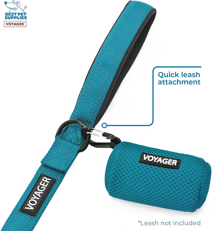 Best Pet Supplies 2-Pack Dog Poop Bag Holder Leash Attachment, Color, Reusable Mesh Dispenser Pouch for Travel, Walking, Park, and Outdoor Use, Soft and Durable with Clip-On - Mesh Turquoise