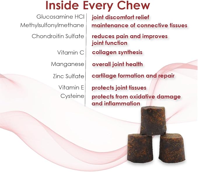 Double Strength Soft Chews for Dogs - Vitamins, Minerals, Antioxidants - Glucosamine, Chondroitin - Beef Flavor - Maximum Joint Health Supplement - 120 Chews