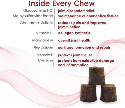 Double Strength Soft Chews for Dogs - Vitamins, Minerals, Antioxidants - Glucosamine, Chondroitin - Beef Flavor - Maximum Joint Health Supplement - 120 Chews