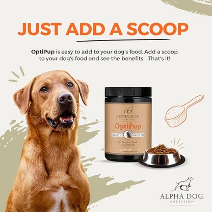 OptiPup All-in-1 Puppy Multivitamin by Alpha Dog Nutrition – Contains 31 Superfoods including Probiotics and Prebiotics for Digestive Support, Skin & Immune Health, and Optimum Growth (30 Servings)
