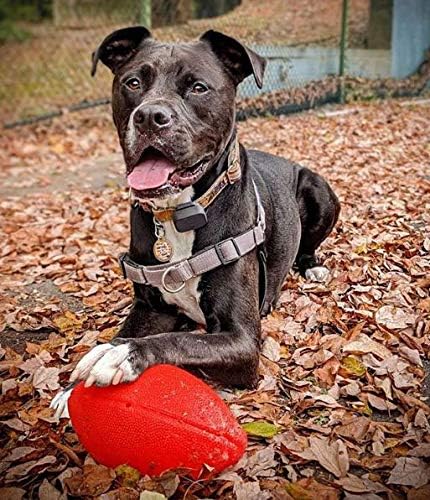 Jolly Pets Football Dog Toy, 8 Inches, Orange