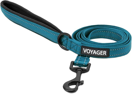 Voyager Reflective Dog Leash with Neoprene Handle, 5ft Long, Supports Small, Medium, and Large Breed Puppies, Cute and Heavy Duty for Walking, Running, and Training - Turquoise (Leash), S