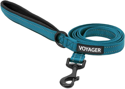 Voyager Reflective Dog Leash with Neoprene Handle, 5ft Long, Supports Small, Medium, and Large Breed Puppies, Cute and Heavy Duty for Walking, Running, and Training - Turquoise (Leash), M