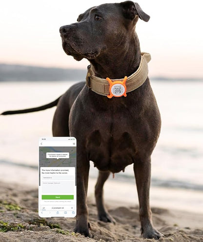 Joytale [ NO APP Required ] Silent Silicone QR Code Dog Tag, Slide On Dog Tags for 1.2-1.6Inch Wide Collars or Vest, NFC Pet Online Profile, Scan QR to Send Location Alert Email, Orange, L