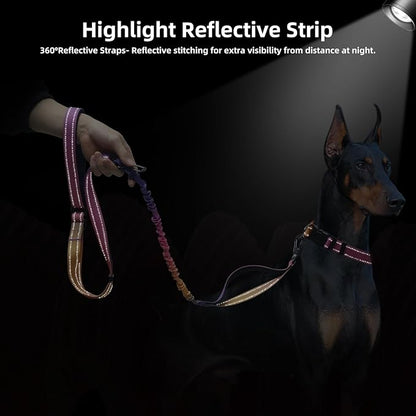 Roses&Poetry Hands Free Dog Leash Heavy Duty,No Pull Bungee Dog Running Waist Leash for Walking Training with Car Seatbelt 4-6FT