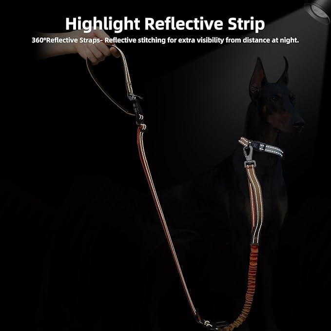 Roses&Poetry Dog Running Leash Hands Free,No Pull Bungee Dog Running Waist Leash for Walking Training with Car Seatbelt 4-6FT