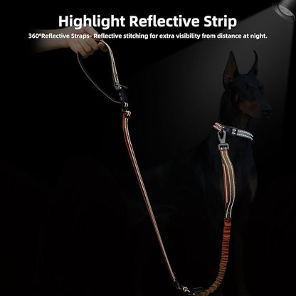 Roses&Poetry Dog Running Leash Hands Free,No Pull Bungee Dog Running Waist Leash for Walking Training with Car Seatbelt 4-6FT