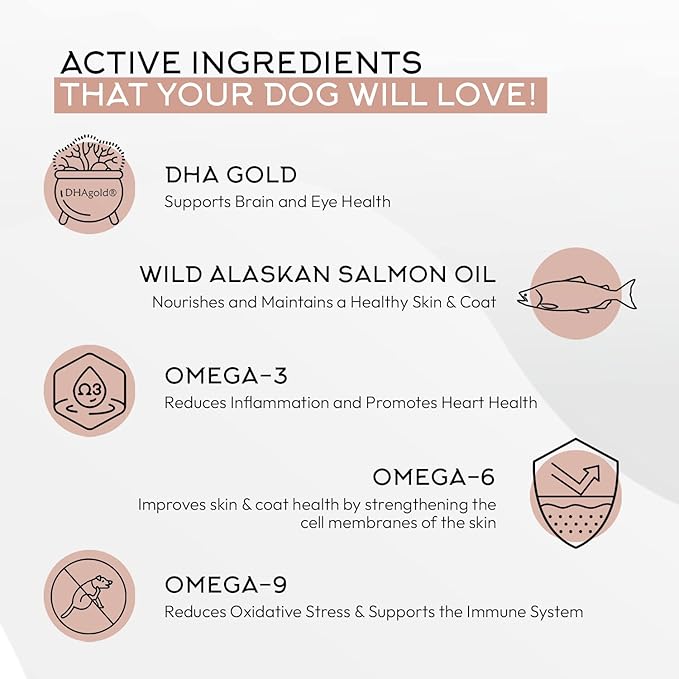 Gnawty Bites Omega Shine Dog Allergy Relief | Skin & Coat Strengthening Probiotics for Dogs with DHA Gold, Wild Alaskan Salmon Oil, Omega-6, Omega-9 & Omega-3 for Dog | 120 Soft Chews - (264 G)