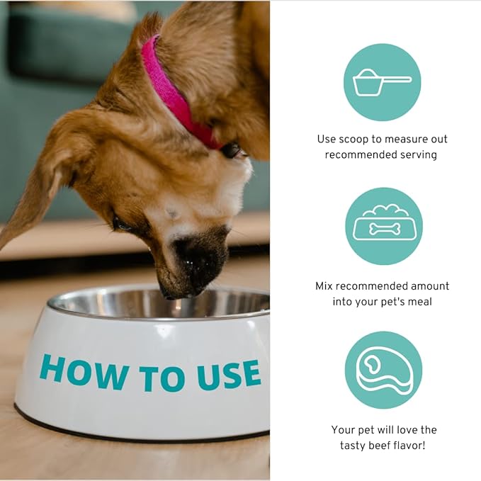 Approx 120 Servings of Dog Probiotic Powder - Dog Probiotics and Digestive Enzymes - Enzyme Supplement for Dogs - Dog Digestive Support - Made in The USA