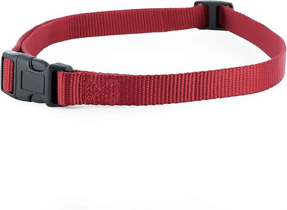 PetSafe 3/4 Replacement Collar Strap with no holes, for PetSafe Bark, Wireless Fence, In-Ground Fence and Pawz Away Collars - Rust/Red