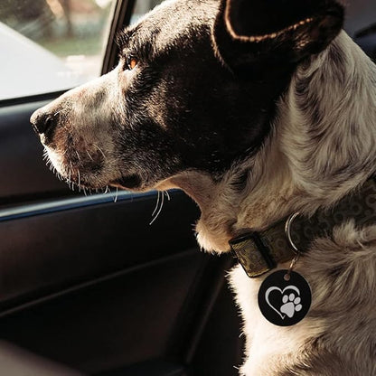 MYLUCKYTAG Stainless Steel QR Code Pet ID Tags Dog Tags - Pet Online Profile - Scan QR Receive Instant Pet Location Alert Email
