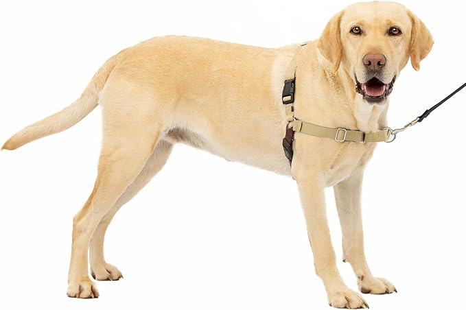 PetSafe Easy Walk Dog Harness - No Pull Dog Harness - Large, Fawn