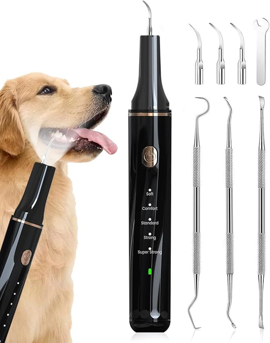 Hansaplast Plaque Remover for Teeth, Dog Teeth Cleaning, Dental Tools to Remove Tartar and Stains, Safe for Dogs & Cats, with Led Light & 5 Adjustable Modes (Black)