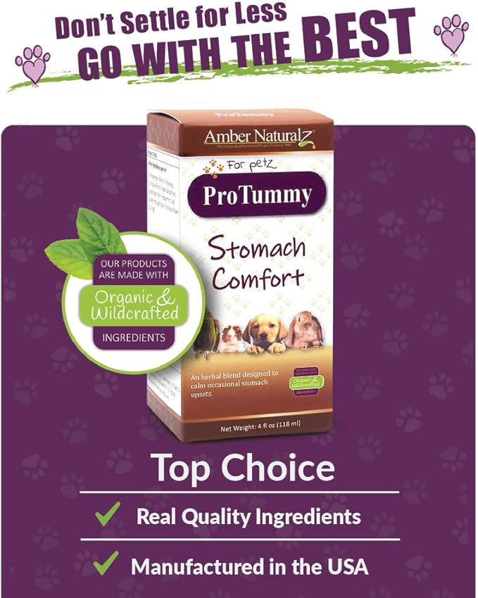 Amber NaturalZ ProTummy Stomach Comfort Herbal Blend for Dogs, Bird, Guinea Pigs, and Rabbits | Herbal Supplement for Occasional Upset Stomach | 4 Fluid Ounce Glass Bottle | Manufactured in The USA