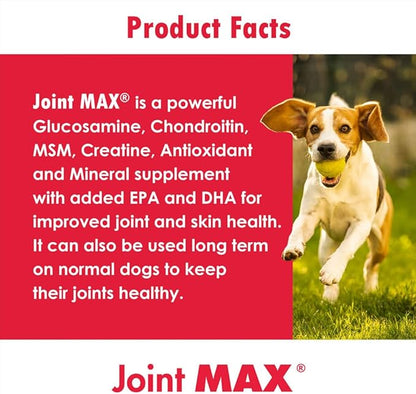 Triple Strength HA Granules for Dogs, Glucosamine, Chondroitin, Creatine, MSM and Antioxidants - Hip and Joint Support Supplement, 120 Doses